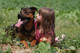 ENFANT ET CHIEN 365